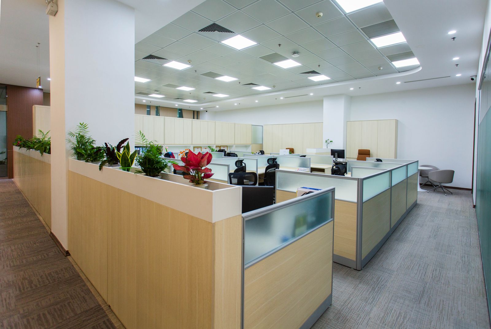 Bright open managed office interior with cubicles and modern design